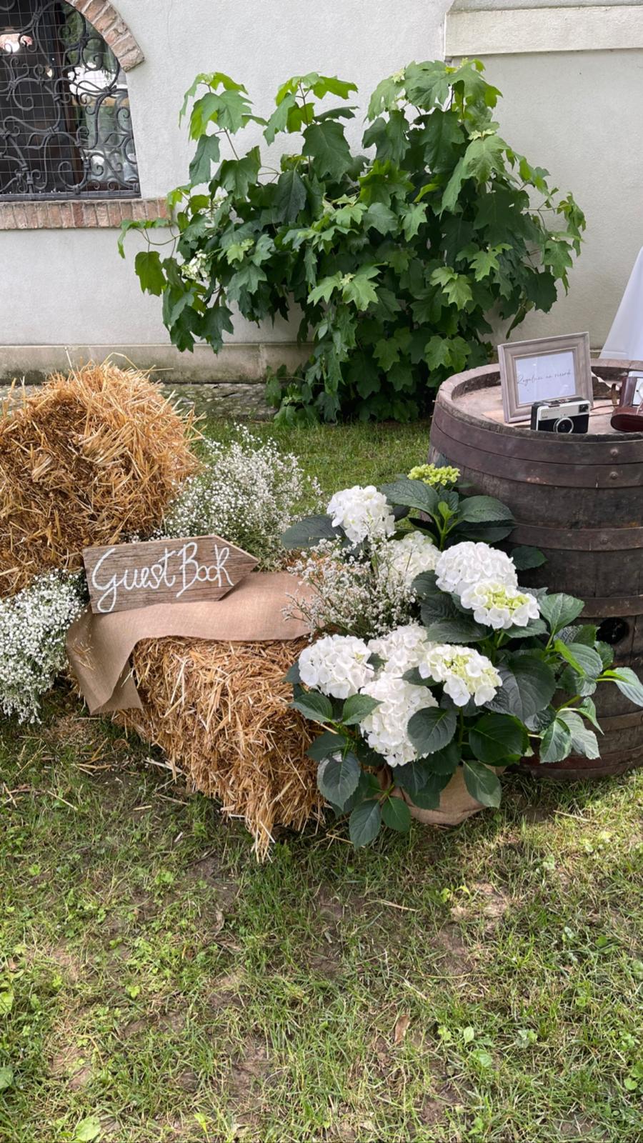 Fattoria la Magnolia — foto 3